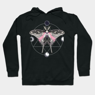 Demigirl Luna Moth Celestial Cottagecore LGBT Pride Flag Hoodie